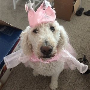 Meet your Posher, Kristen